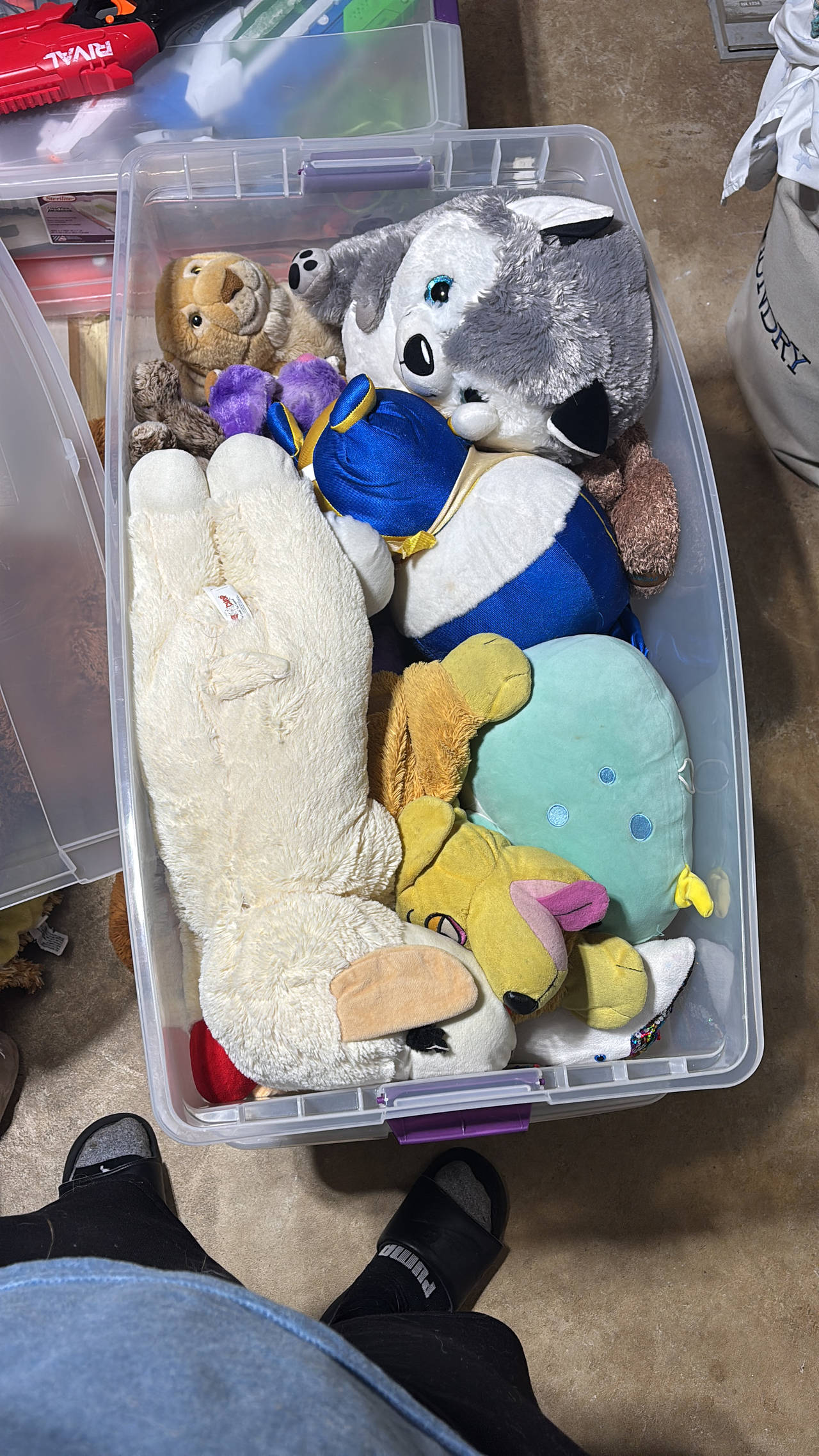 Stuffed Animals