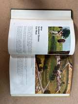 Childcraft: The How and Why Library Volume 11 Look and Learn - Image 3