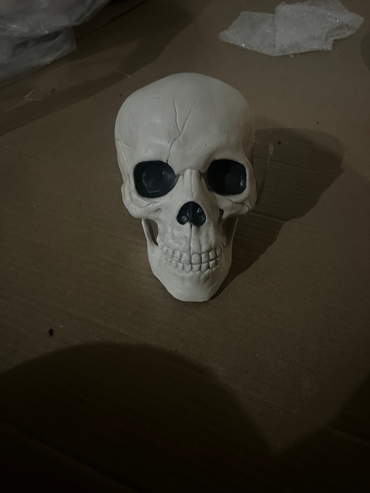 Halloween Skull Decoration