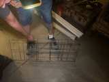 Essential Depot Stainless Steel Wire Basket - Image 1