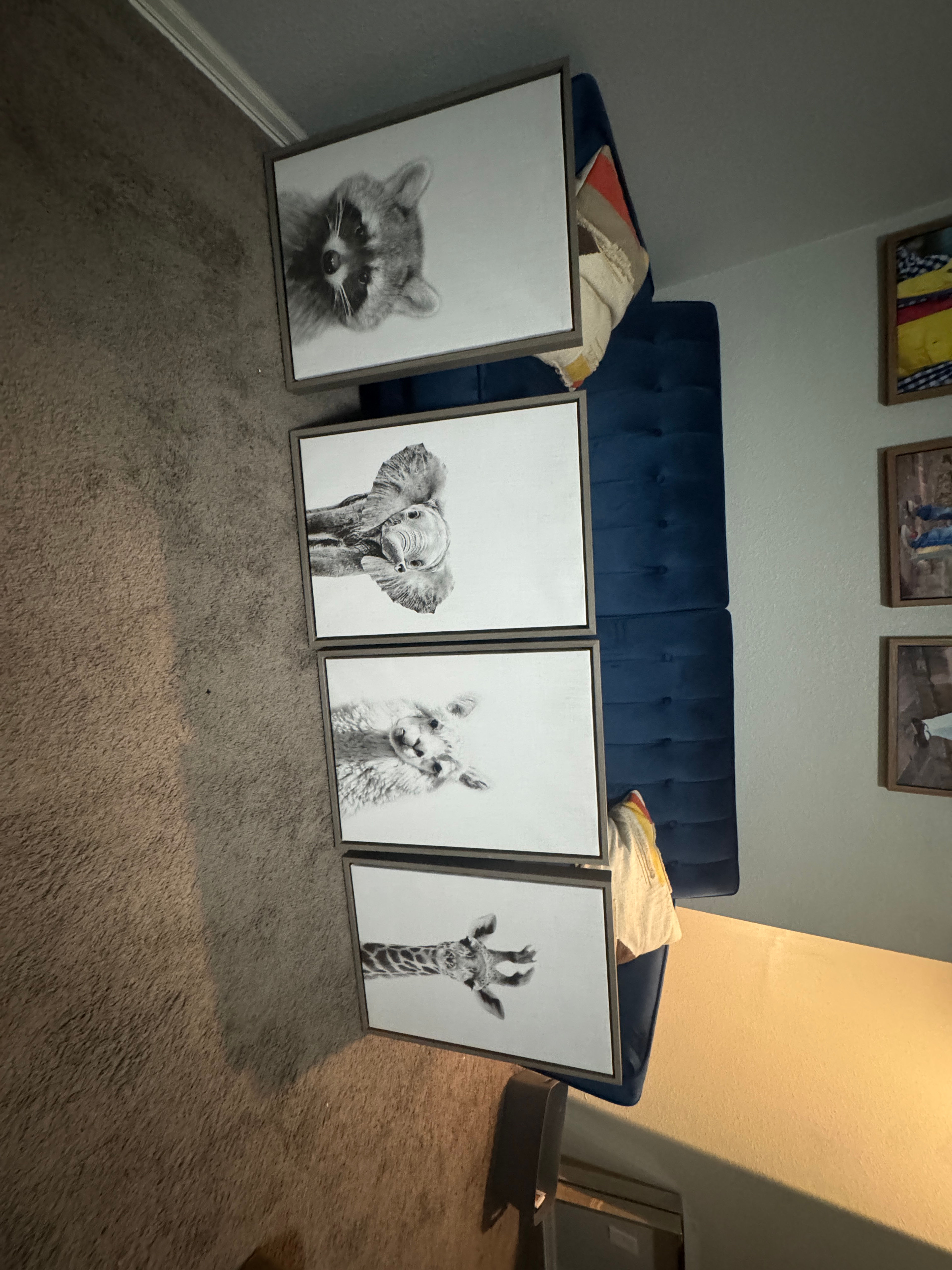 Framed Black and White Baby Animal Canvas Art Set of 4