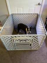 North States MyPet Petyard Passage 6-Panel Dog Playpen with Door - Image 8