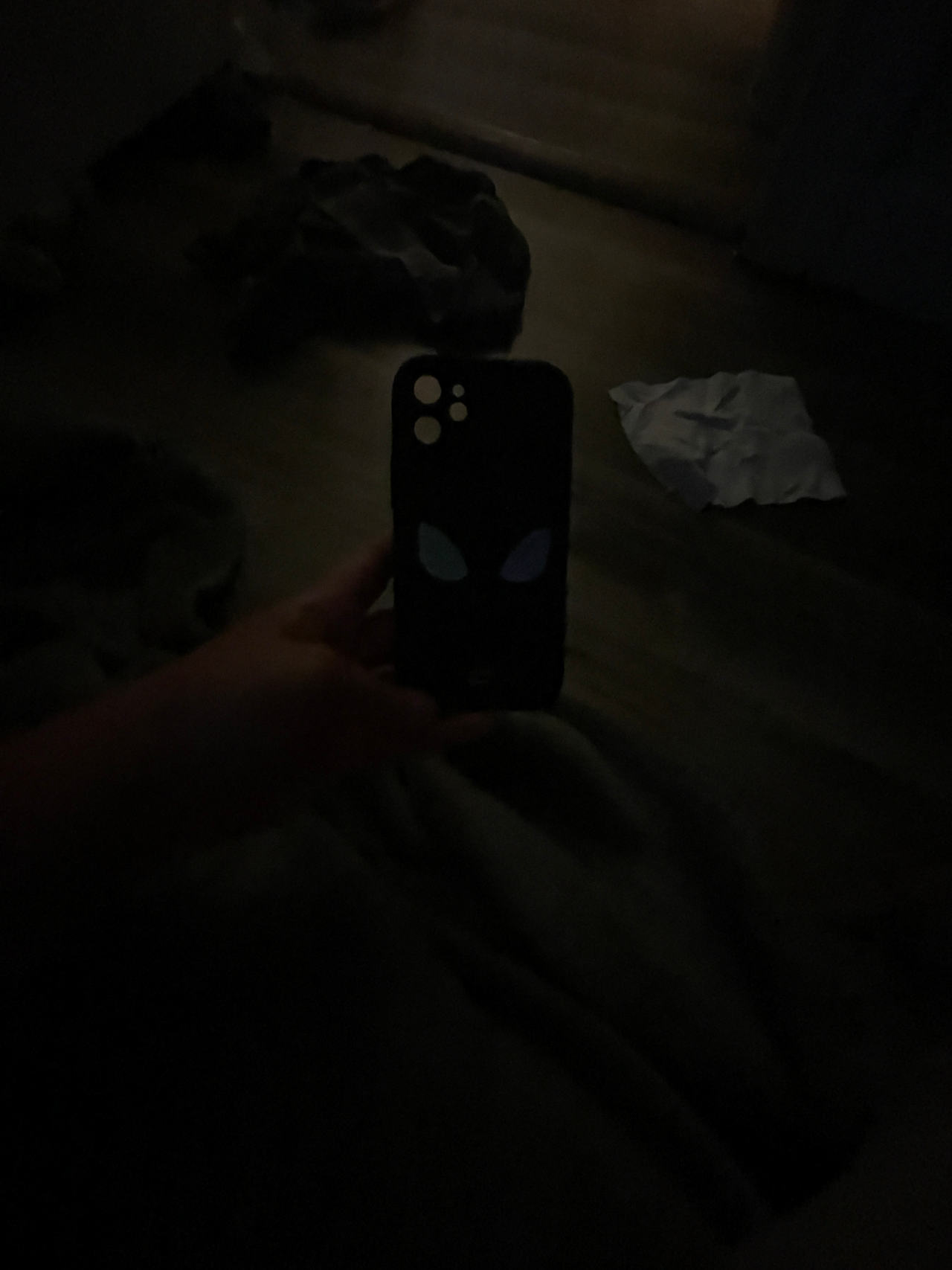 iPhone 12 mini phone case