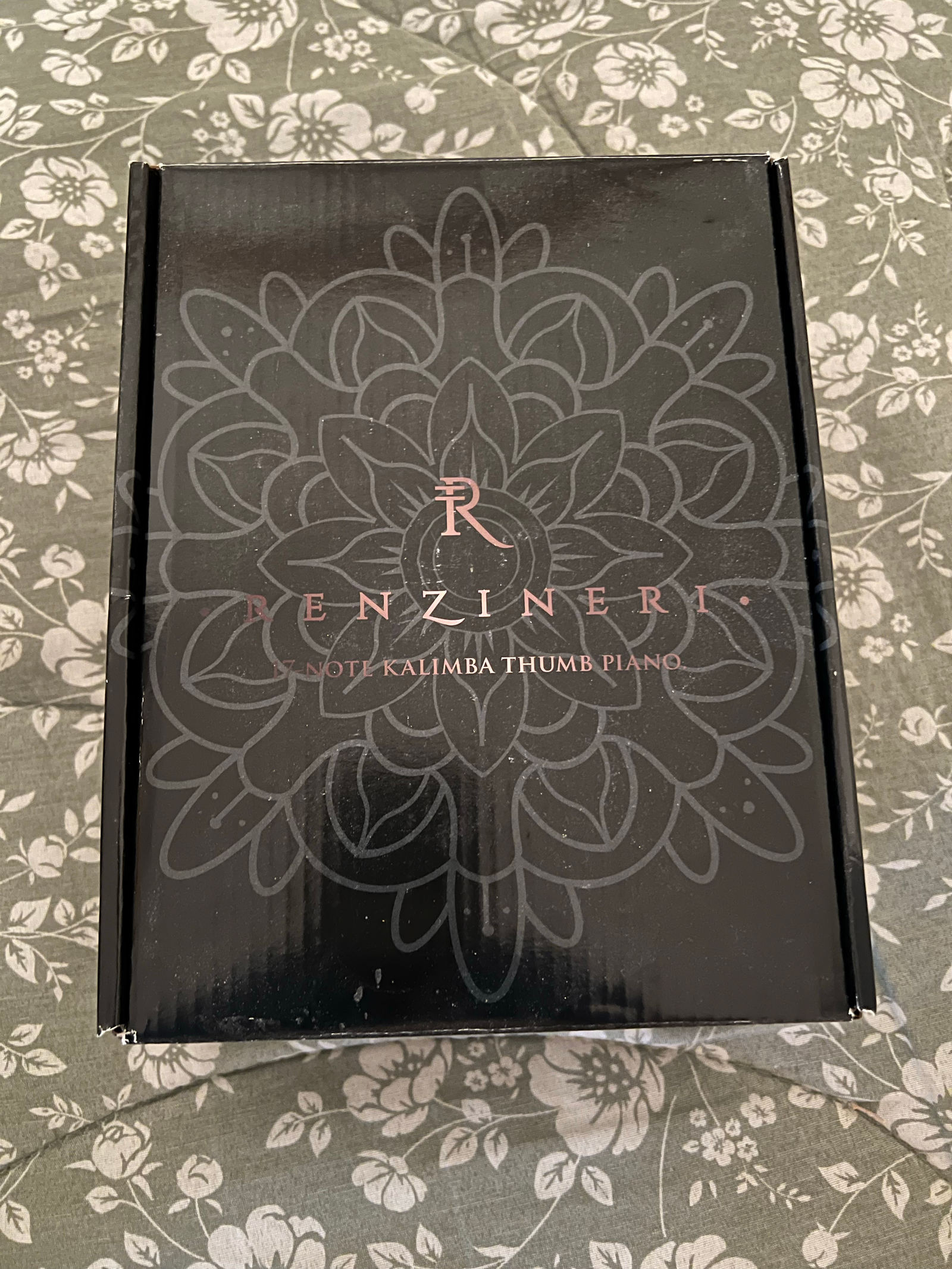 Renzineri 17-Note Kalimba Thumb Piano