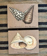 Vintage 3D Fabric Seashell Botanical Wall Art Set - Image 1