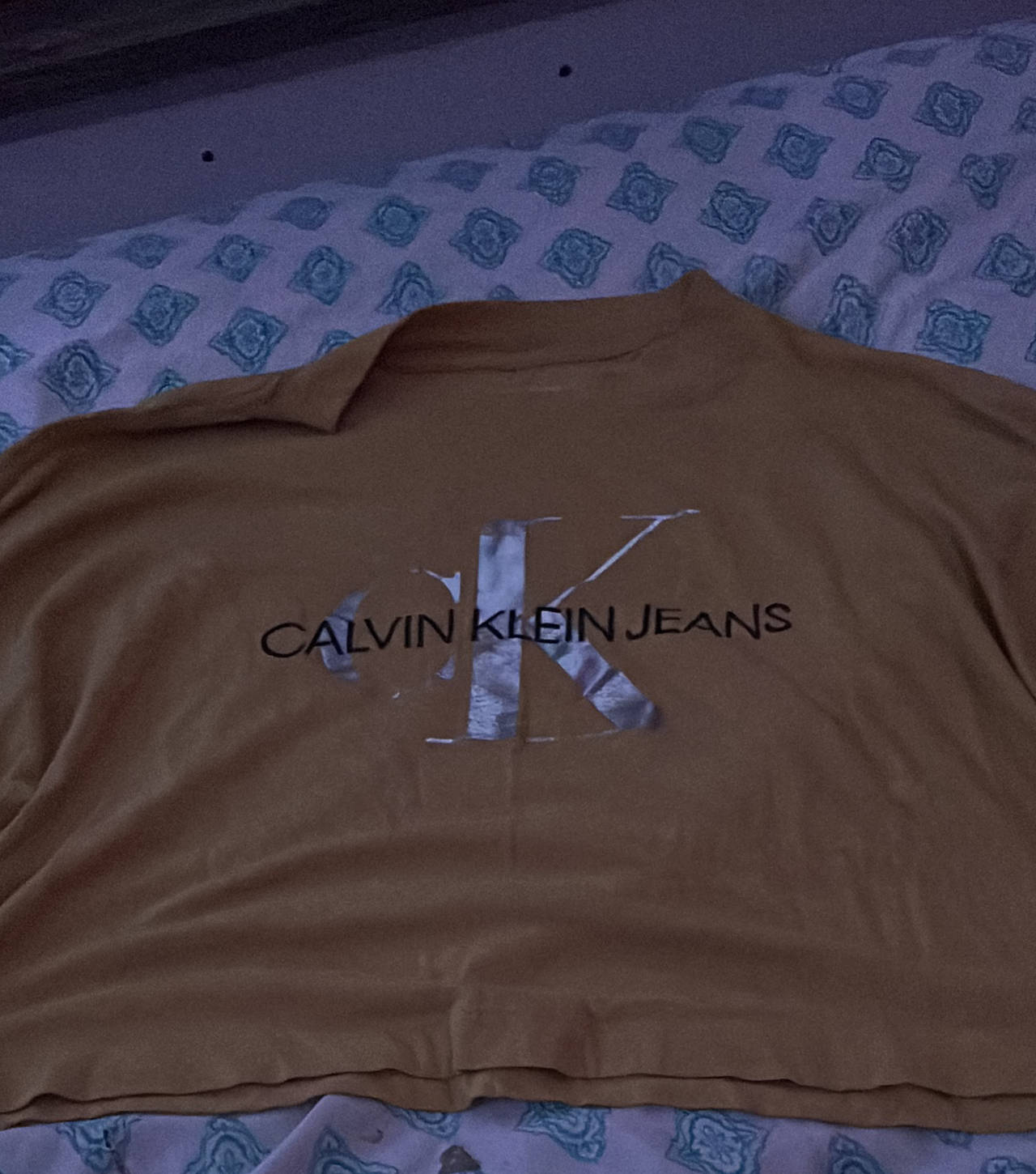 Calvin Klein Jeans Logo Cropped long sleeve shirt
