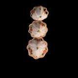 Vintage Nippon Hand Painted Floral Salt Cellars - Set of 4 - Image 1