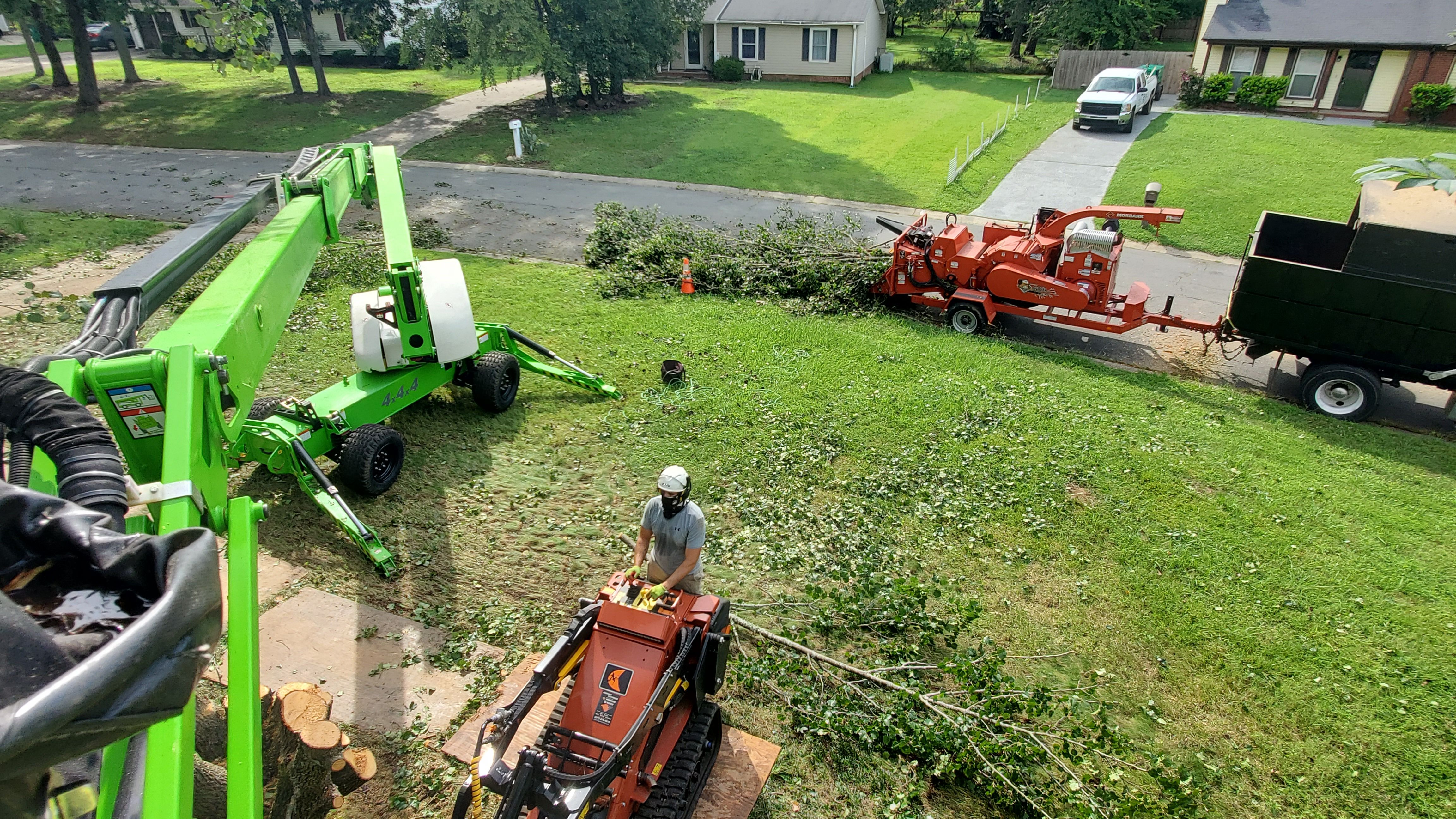 Tree cutters picking up fallen trees.