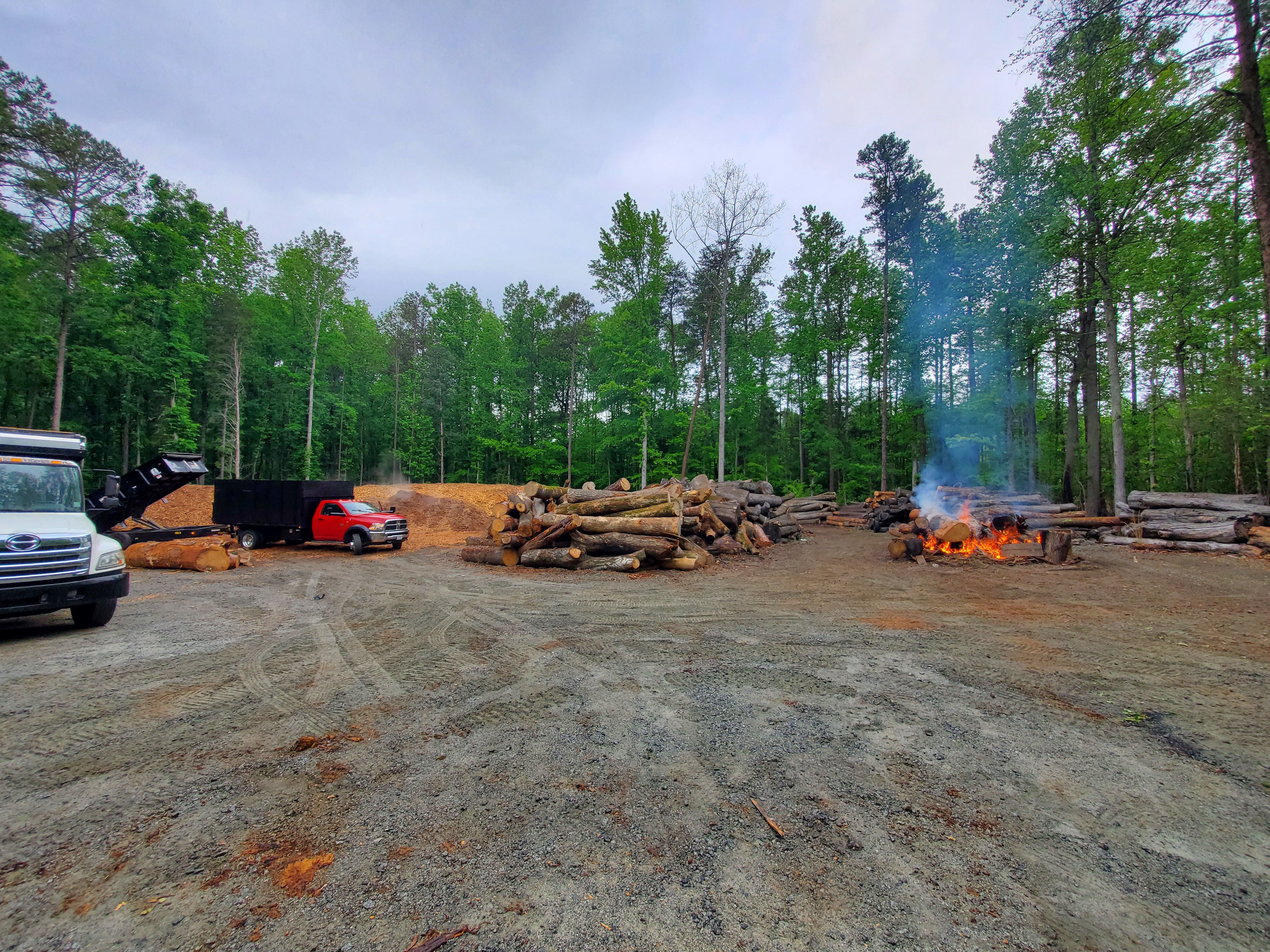 Tree removal equipment.