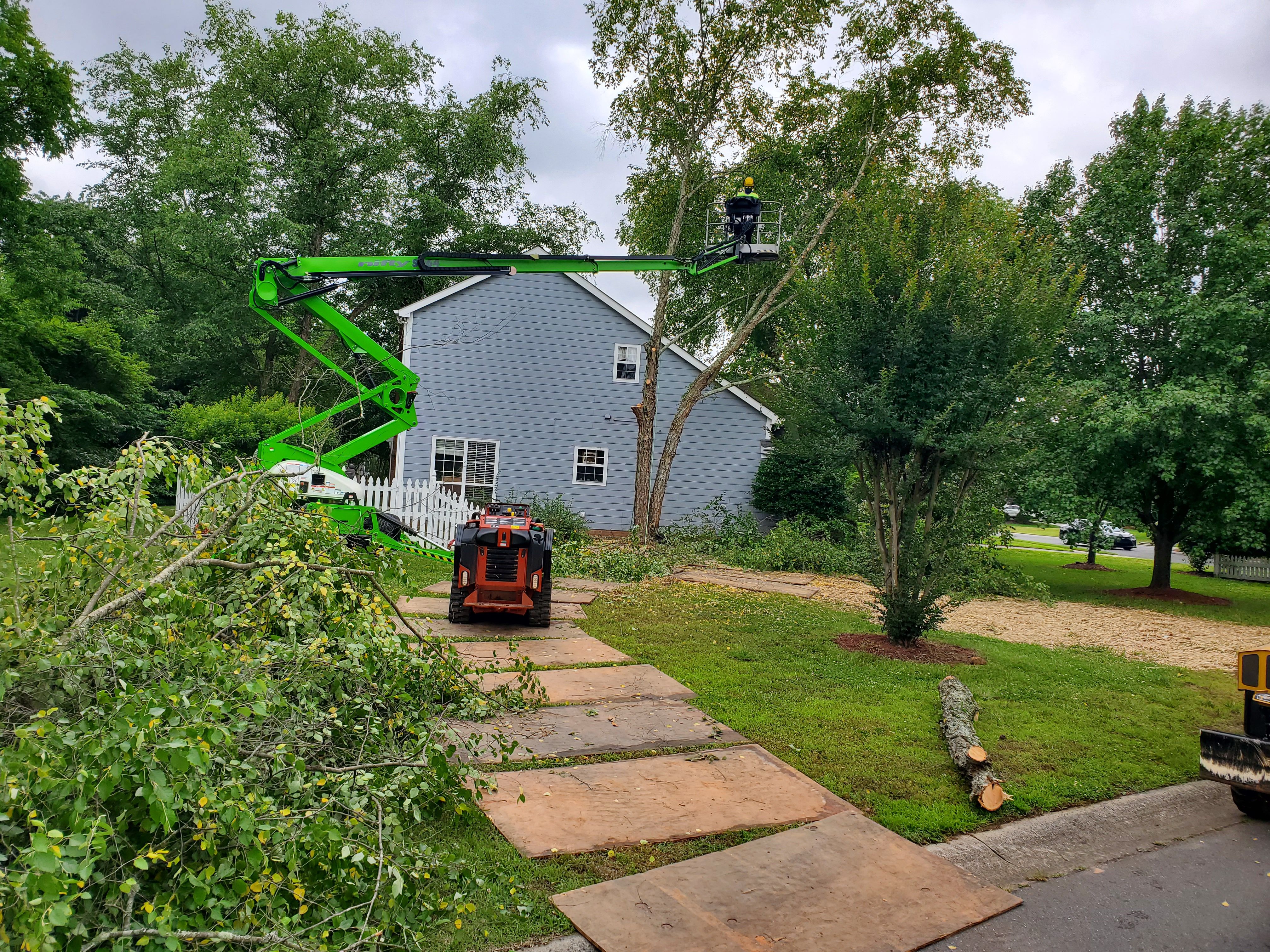 Tree removal professional on lift.