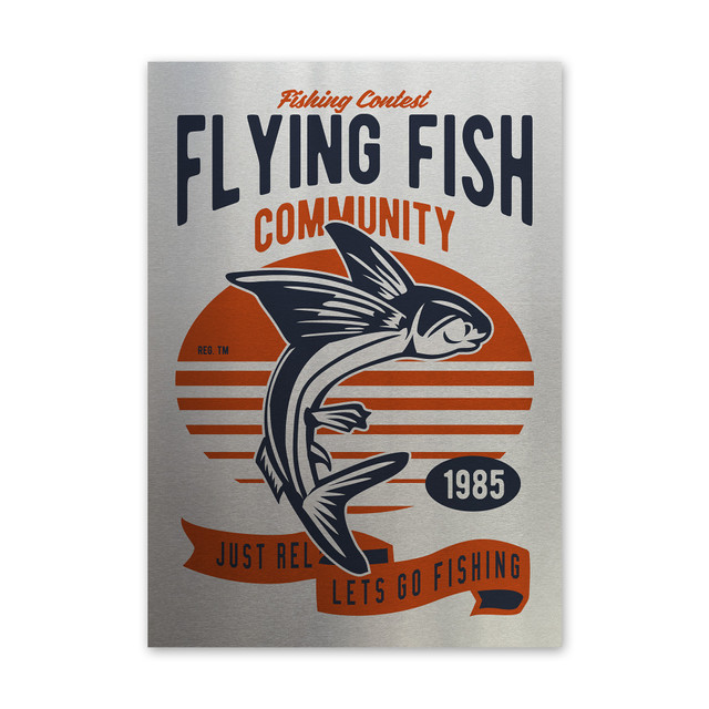 Plakat metalowy, retro, wędkarstwo ryba, 30 cm x 42 cm, srebrny
