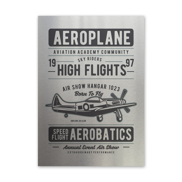 Plakat metalowy, retro, lotnictwo samolot, 30 cm x 42 cm, srebrny
