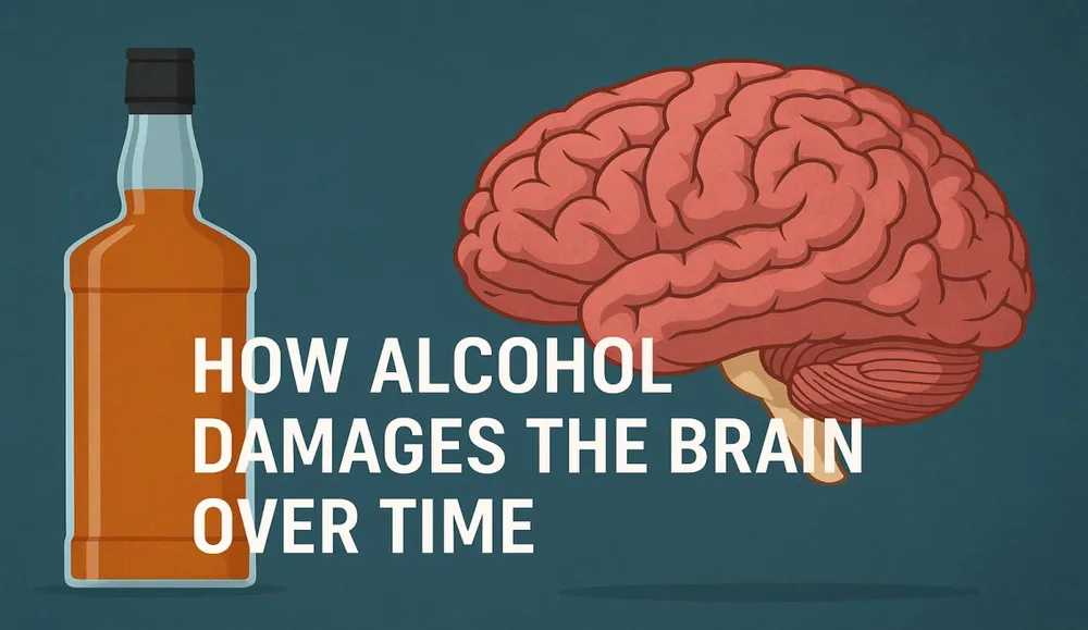 How Alcohol Affects the Brain and Behavior | All-Cures