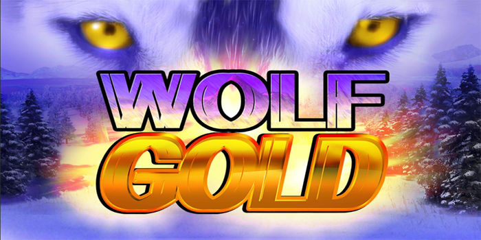 Bocoran RTP Slot Wolf Gold Biar Menang Konsisten''700
