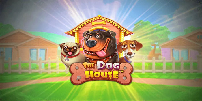Cara Jitu Main Slot The Dog House Supaya Maxwin''700