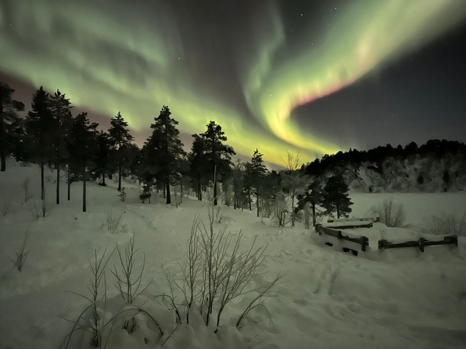 Photograph by Joe Martin