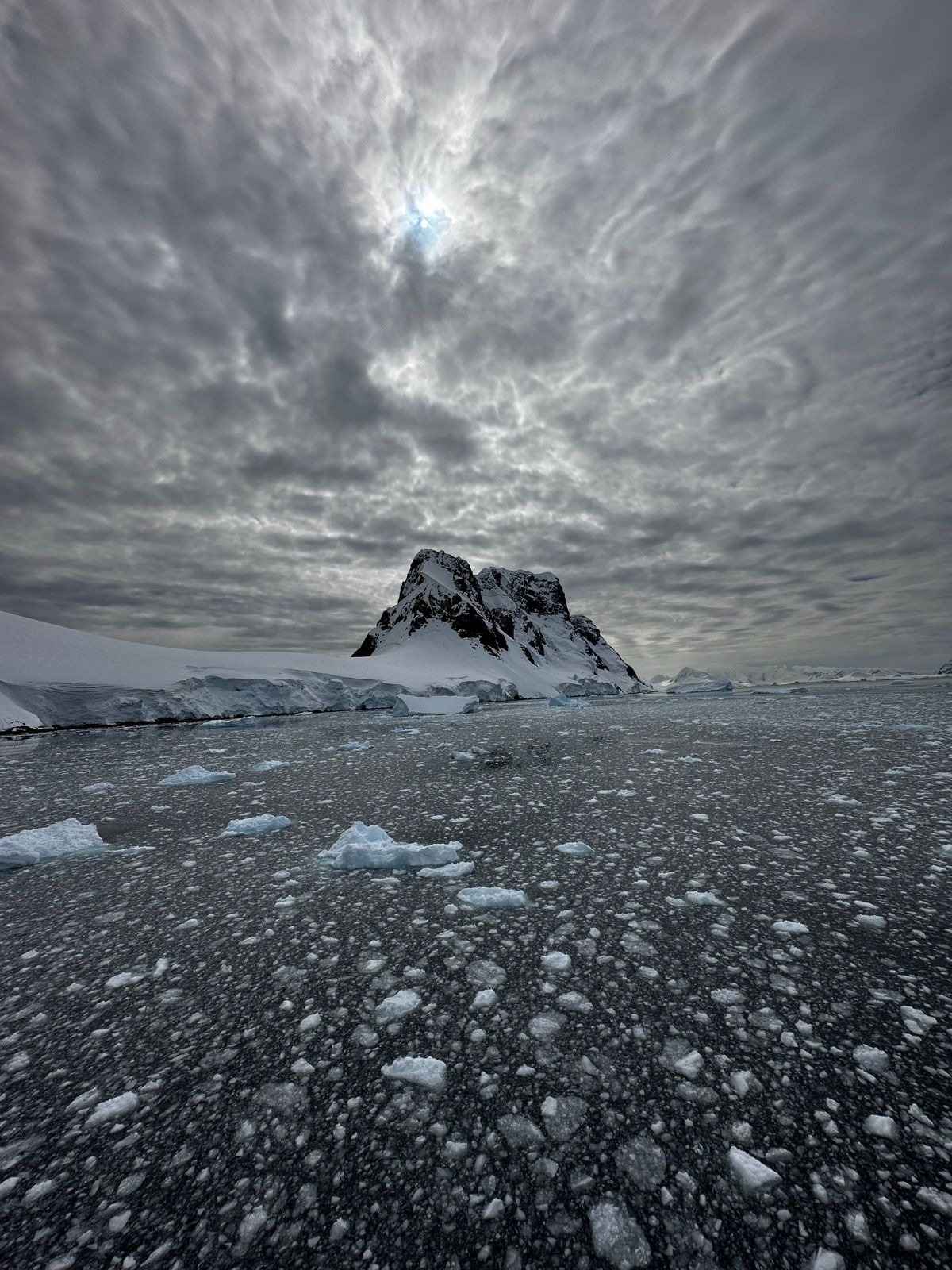 Photograph by Joe Martin