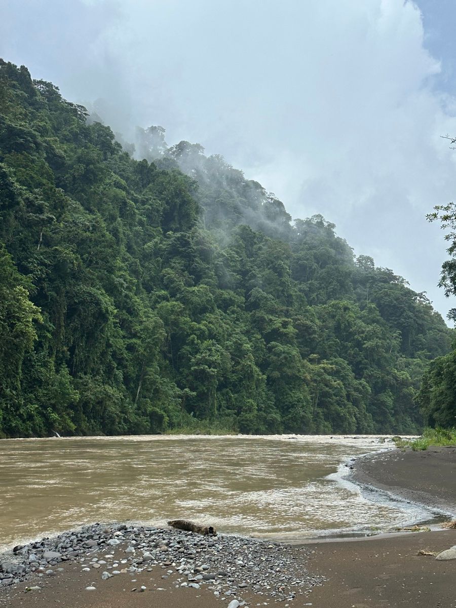 Costa Rica, Pacuare Lodge rainforest