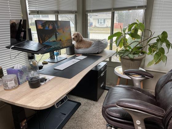 The sunroom desk setup with Daisy's bed sitting on the end of the desk