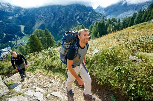 שביל אלפיני טיפוסי