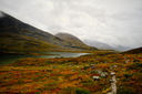 Day image preview