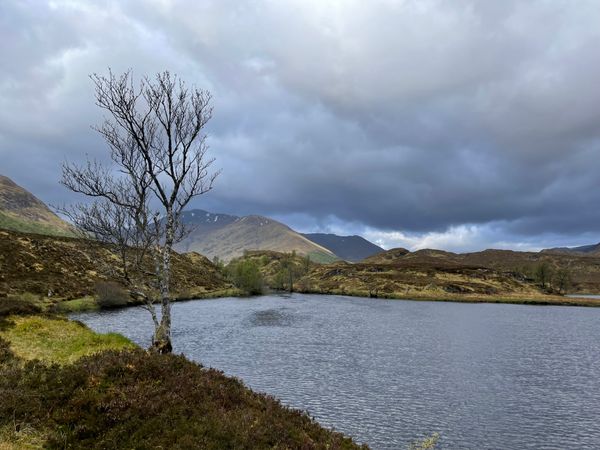 דרך אפריק-קינטייל (Affric Kintail way)