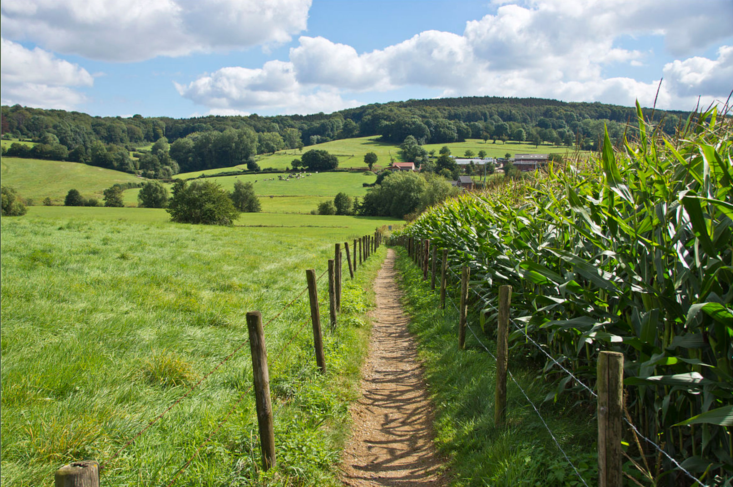 תמונה מהטרק