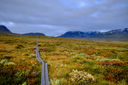 Day image preview