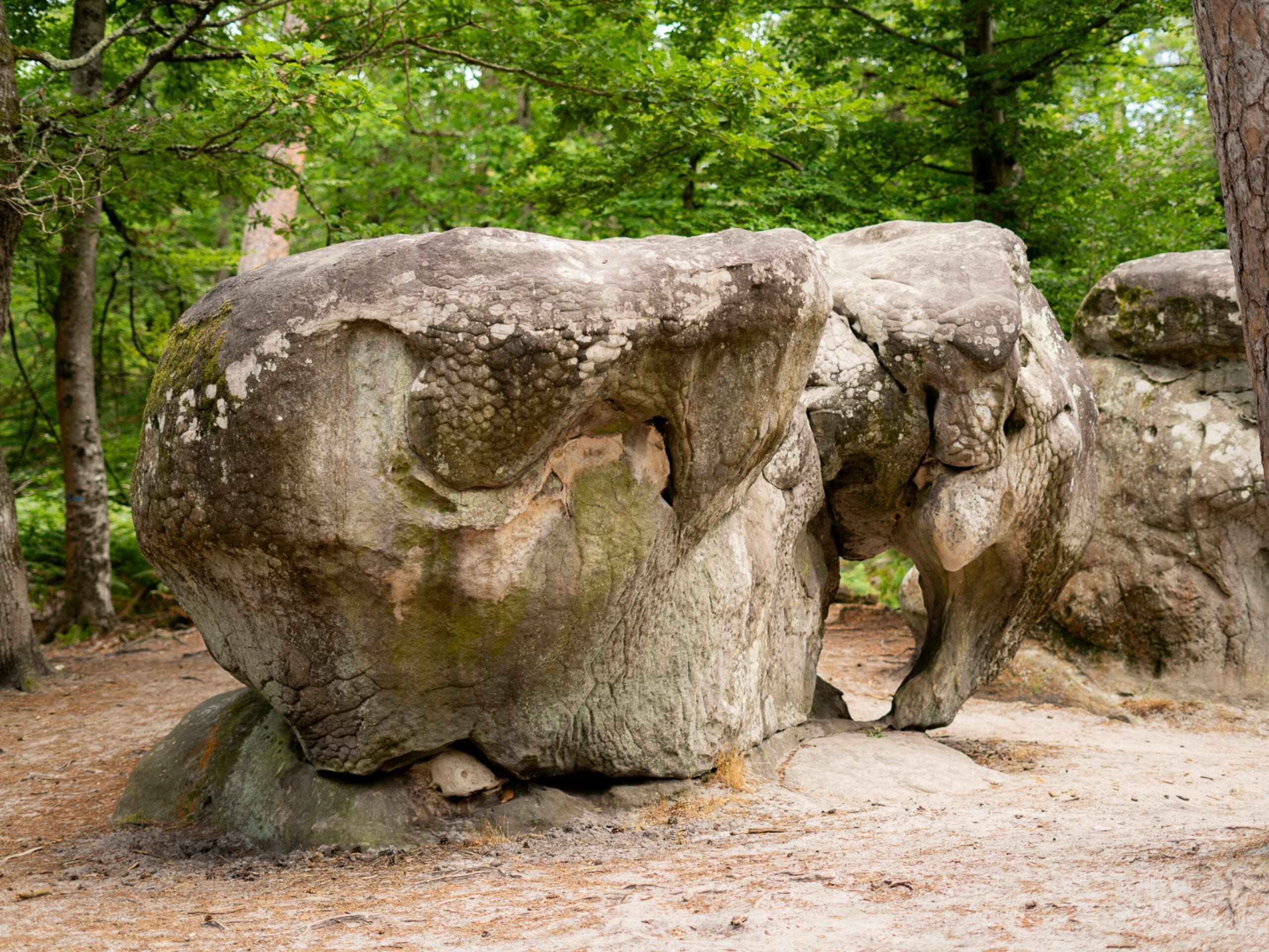 תמונה מהטרק