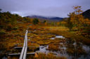 Day image preview