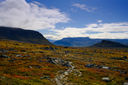 Day image preview