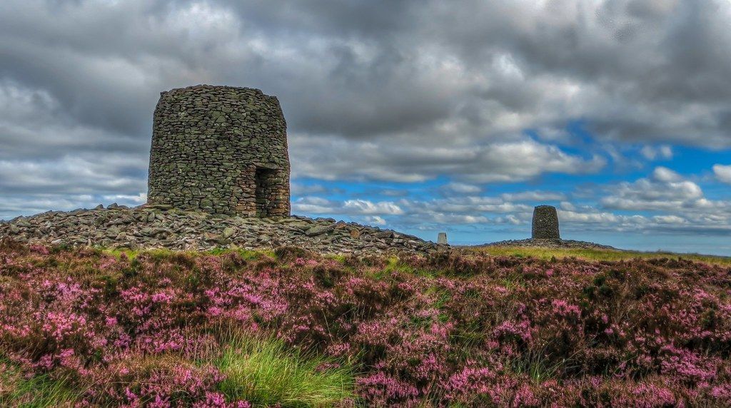 תמונה מהטרק