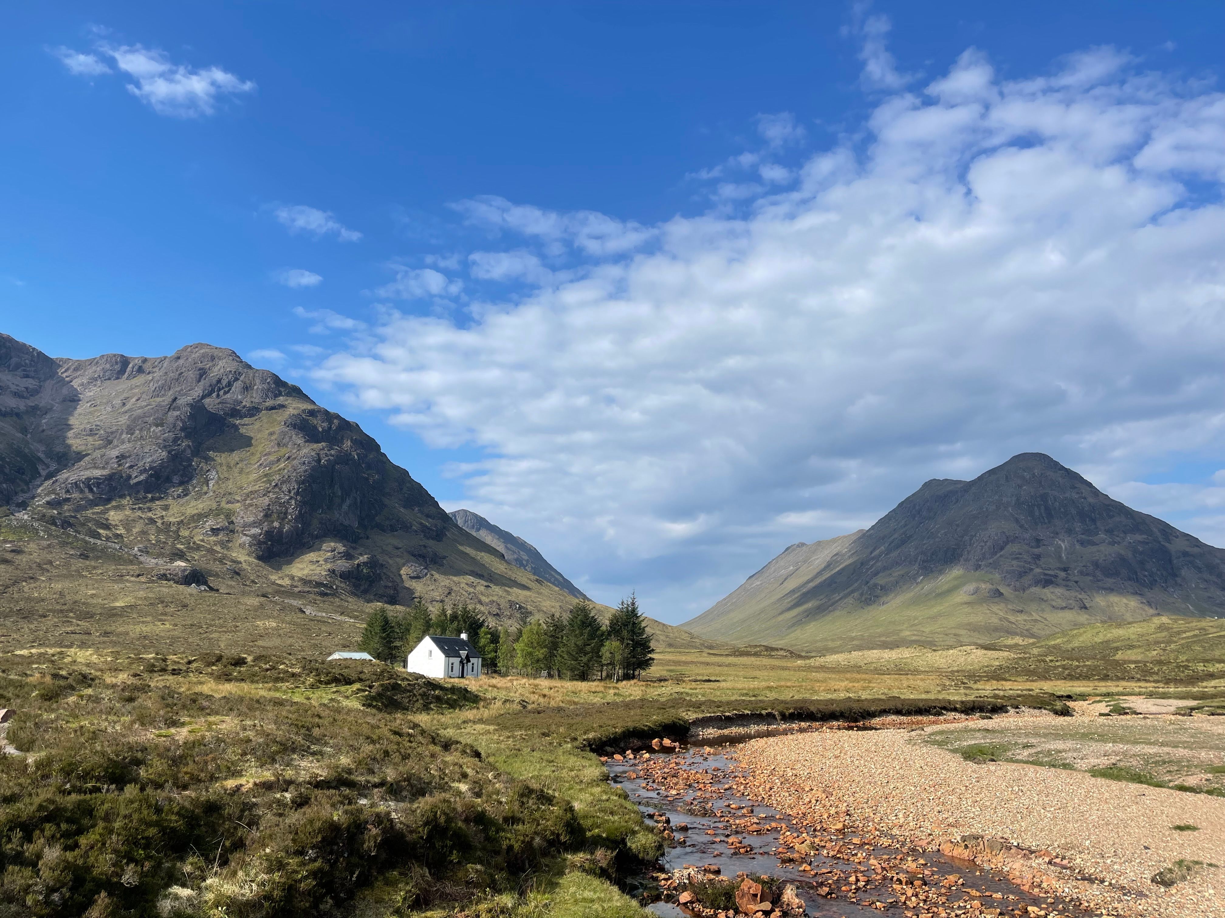 tgoc-news-article-hebrew