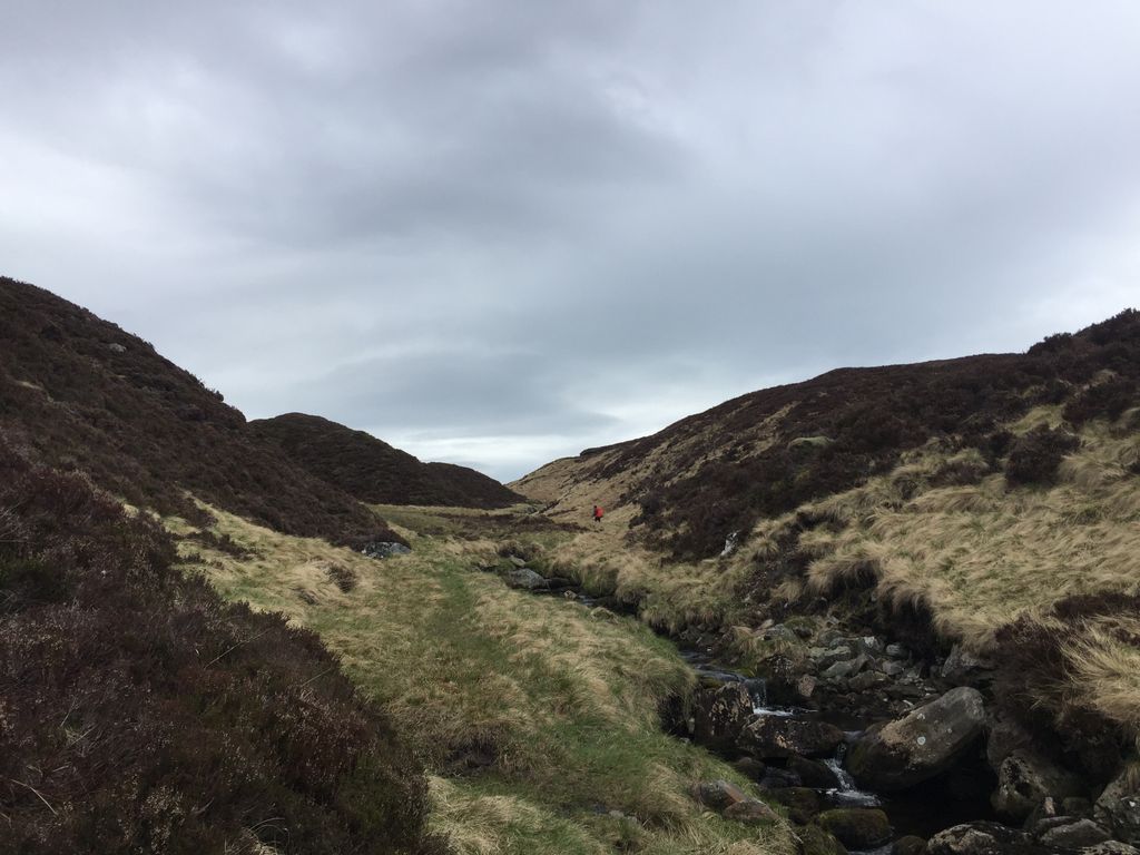 ערוץ נחל מלא הת׳ר וטאסקס