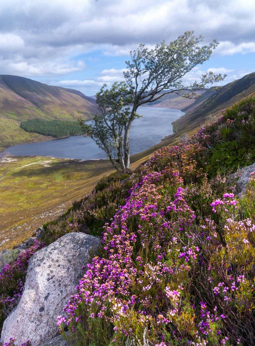 לוך מויאיק - אחד האגמים היפים והמרשימים בקיינגורמס. רבים מהמסלולים עוברים בקרבתו