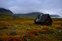 Day image preview