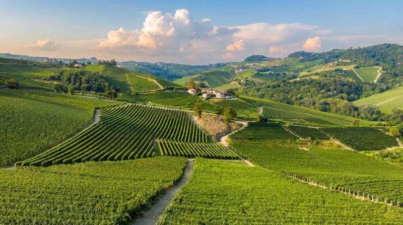 On the trail between Serralunga d’Alba and Faletto on the third day of the Piedmont vineyard hike in Italy