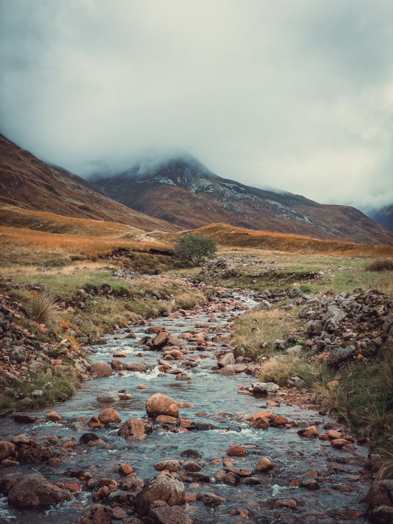 Trek photo