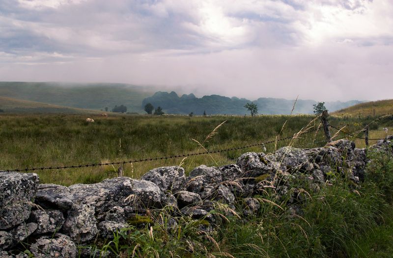 Trek photo