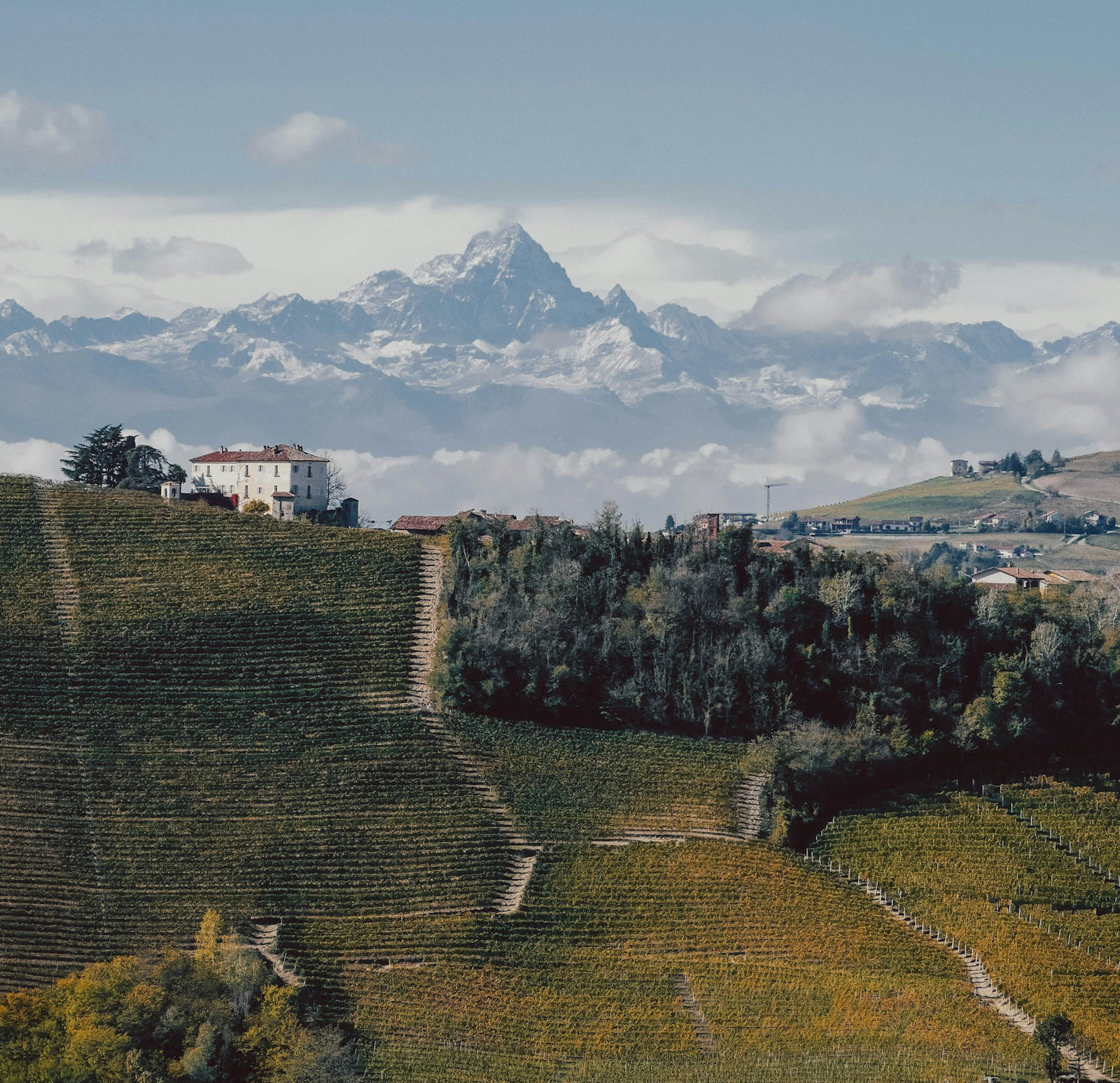 A manor house and winery in Piedmont with views of the Alps rising behind the hills