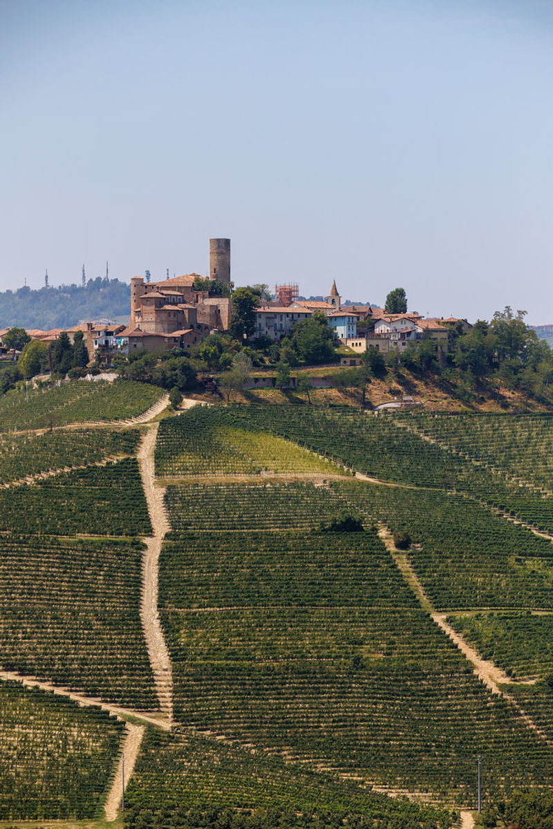 On the trail to Castiglione Falletto on the third day of the vineyard route in Piedmont, Italy