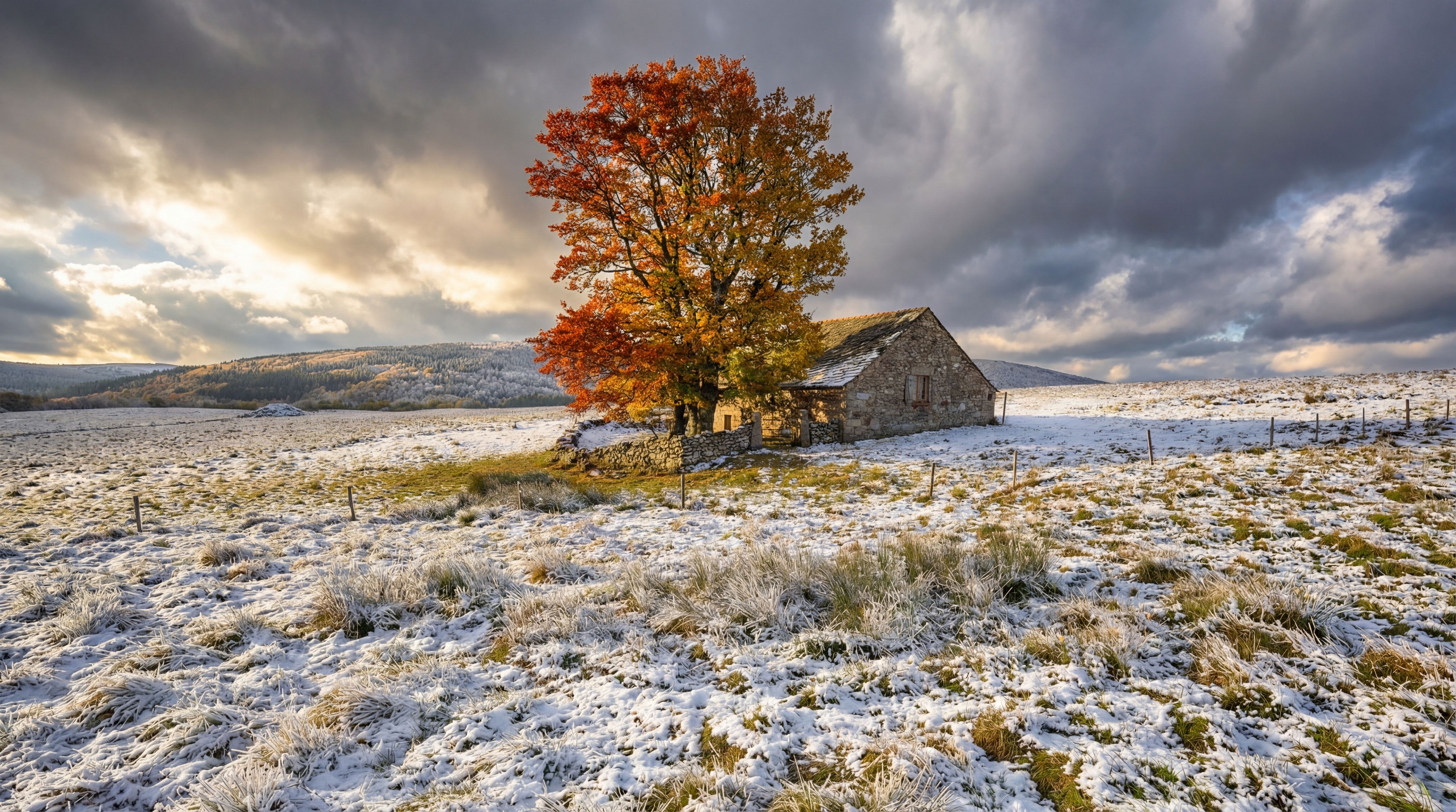 תמונה מהטרק