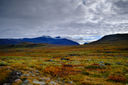 Day image preview