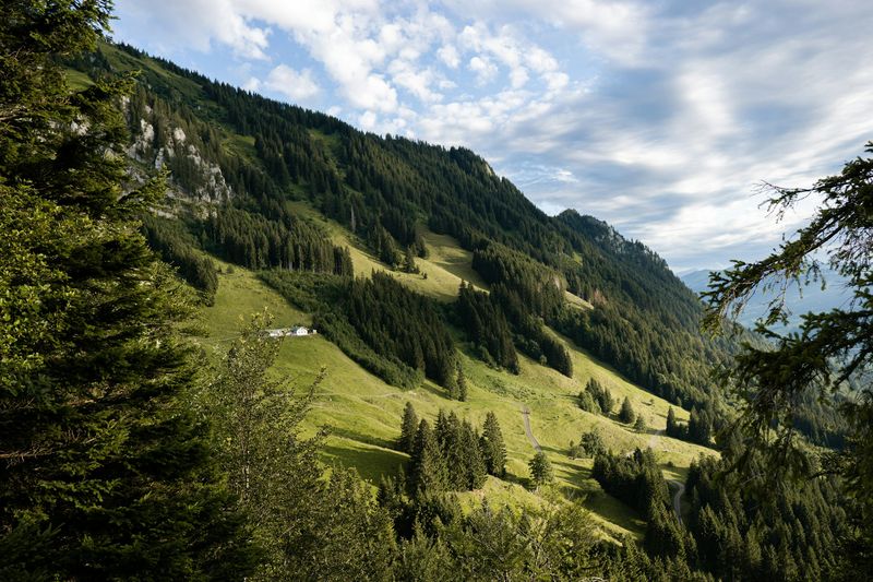 Trek photo