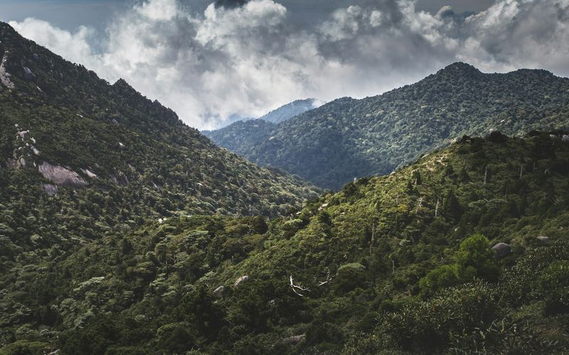 Trek photo