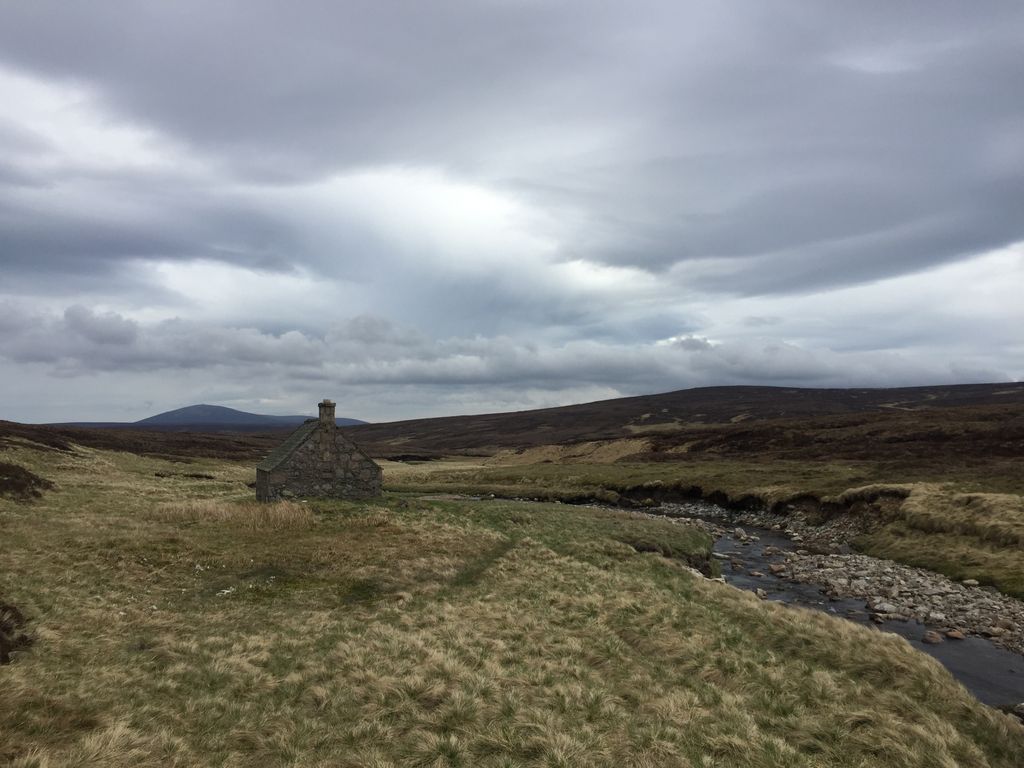 הבות׳י שיילינג אוף מארק מאי 2018