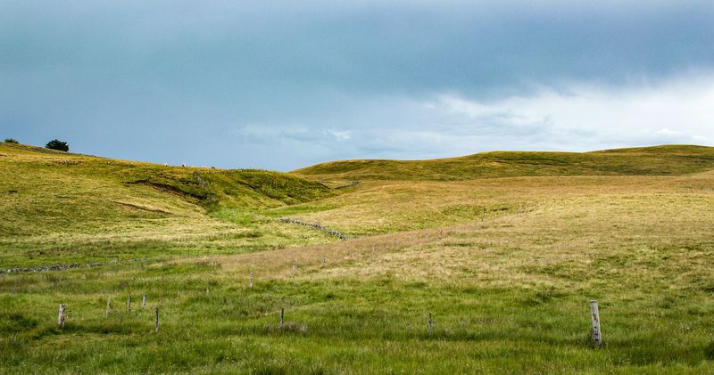Trek photo