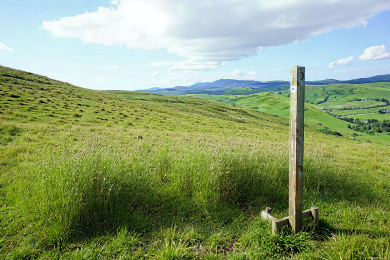 תמונה מהטרק