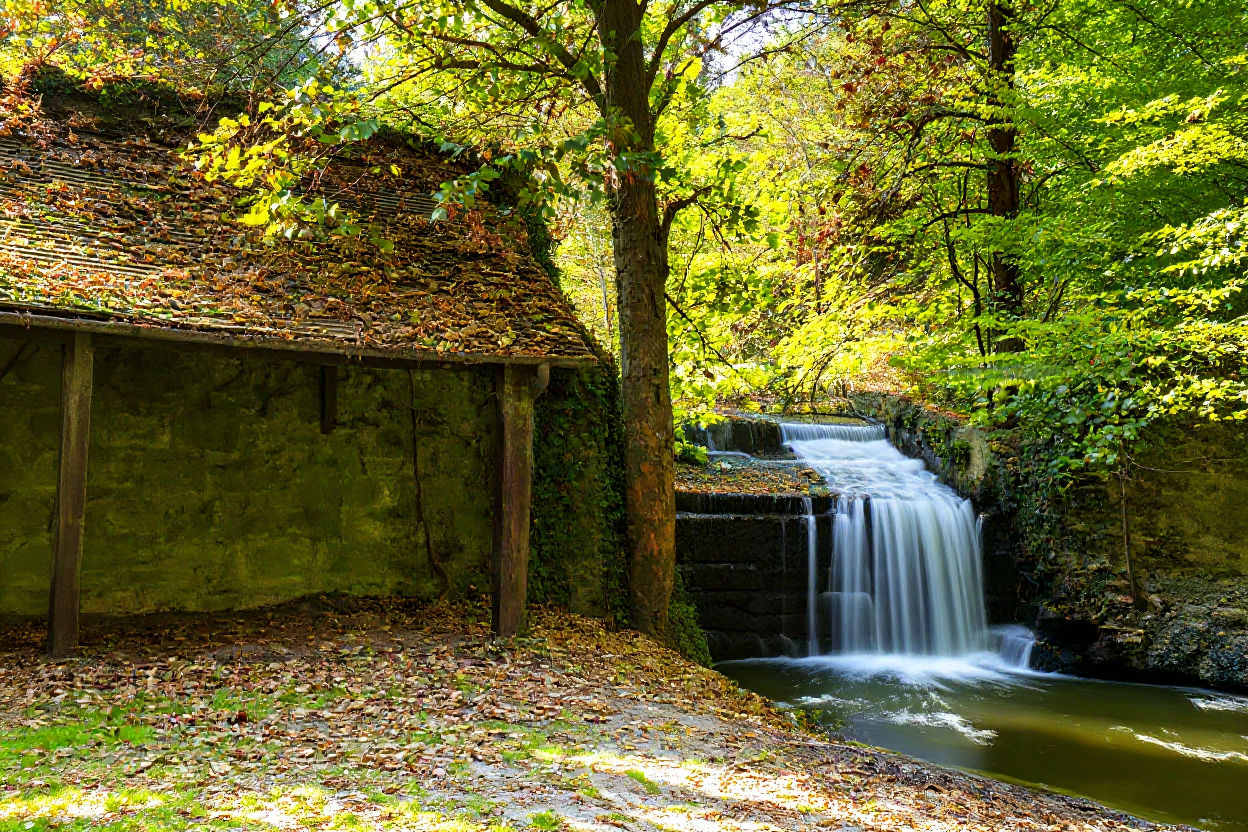תמונה מהטרק