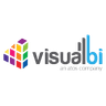 Visual BI Solutions logo